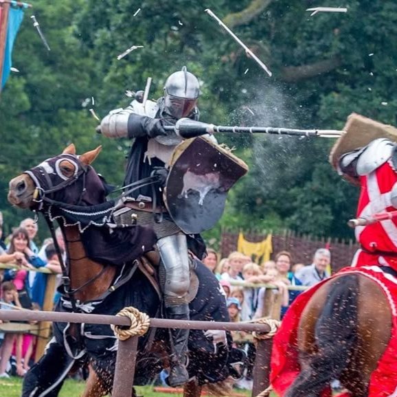 Bloomsabre (@knightsnflowers) on Twitter photo 