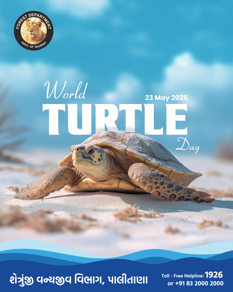 Shetrunjaywild1's tweet image. Today is #WorldTurtleDay! 🐢

@PMOIndia @narendramodi @CMOGuj @Bhupendrapbjp @Mulubhai_Bera @mukeshpatelmla @GujForestDept @GujaratTourism 

#forestgujarat #SaveTurtles
