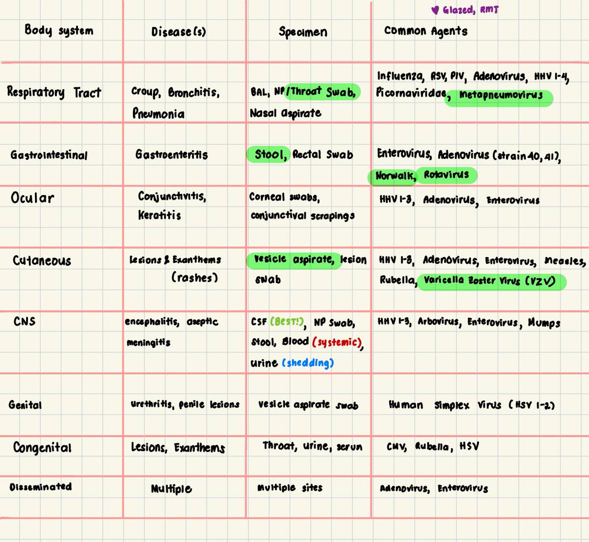 glazed, RMT tweet media