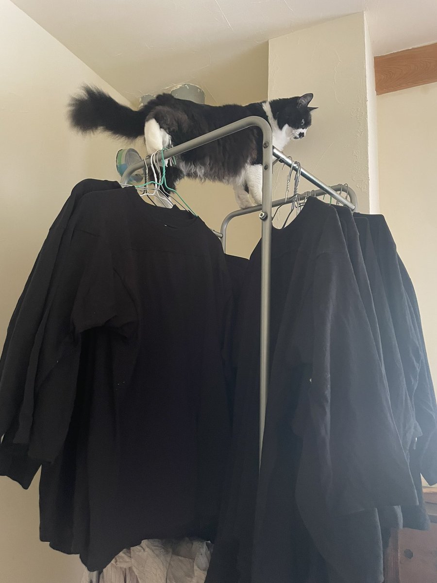 らいおん丸 (@lionmaru_046) / Posts / X