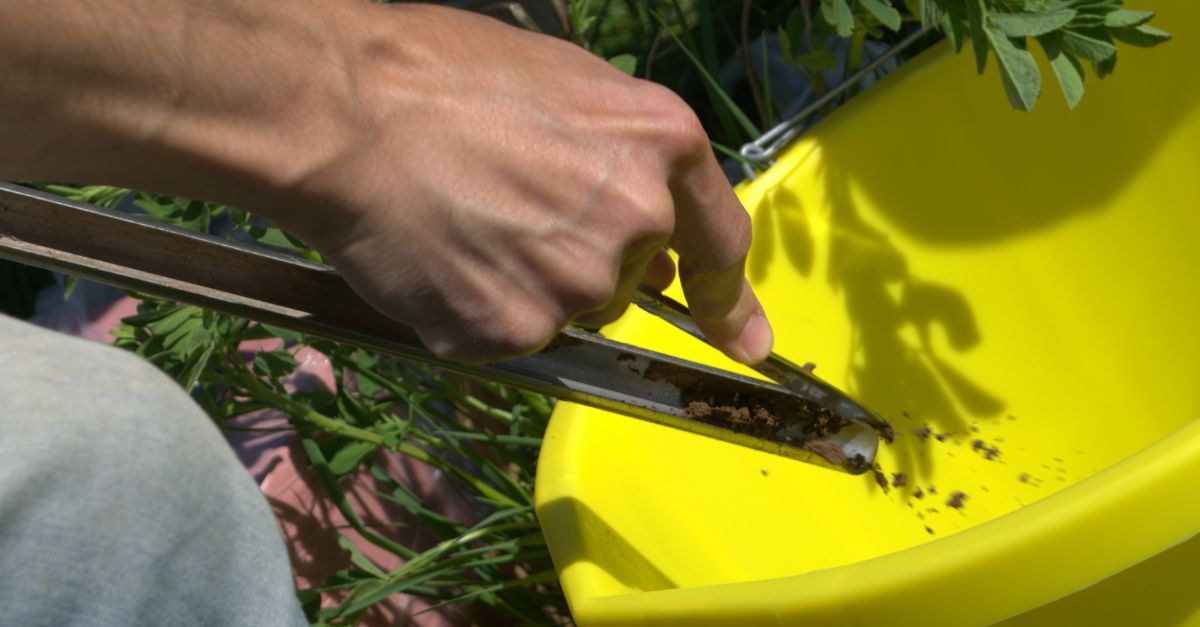 Soil Association (@soilassociation) on Twitter photo “Innovation is key to improving how we understand, manage and protect soil”.
Find out about <a href="/AI4SoilHealth/">AI 4 Soil Health</a> – a project we support – and what it’s doing to monitor & improve soil health, now and in the future, including at our very own <a href="/FarmWoodoaks/">Woodoaks Farm</a>. ai4soilhealth.eu/innovation-to-… “Innovation is key to improving how we understand, manage and protect soil”.
Find out about <a href="/AI4SoilHealth/">AI 4 Soil Health</a> – a project we support – and what it’s doing to monitor & improve soil health, now and in the future, including at our very own <a href="/FarmWoodoaks/">Woodoaks Farm</a>. ai4soilhealth.eu/innovation-to-…