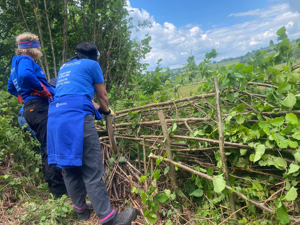 Canal & River Trust Wales and South West tweet media