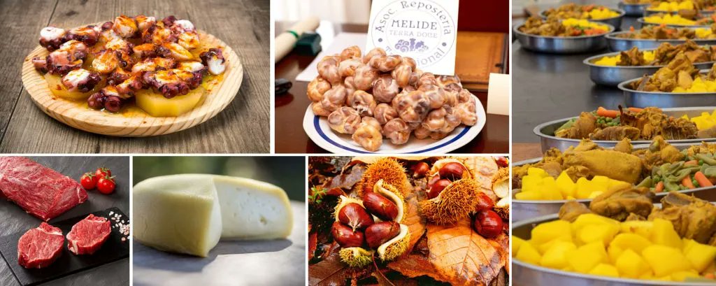 JuanIracu's tweet image. 🍴 ¿Haces el #CaminoDeSantiago y no sabes dónde comer? Descubre los mejores platos típicos imprescindibles en la ruta. ¡Disfruta del viaje y la gastronomía!
Lee más aquí: tragourmet.com/camino-de-sant…

#SantiagoDeCompostela #TurismoGastronómico #España #Galicia #CaminoDeSantiagoFrances