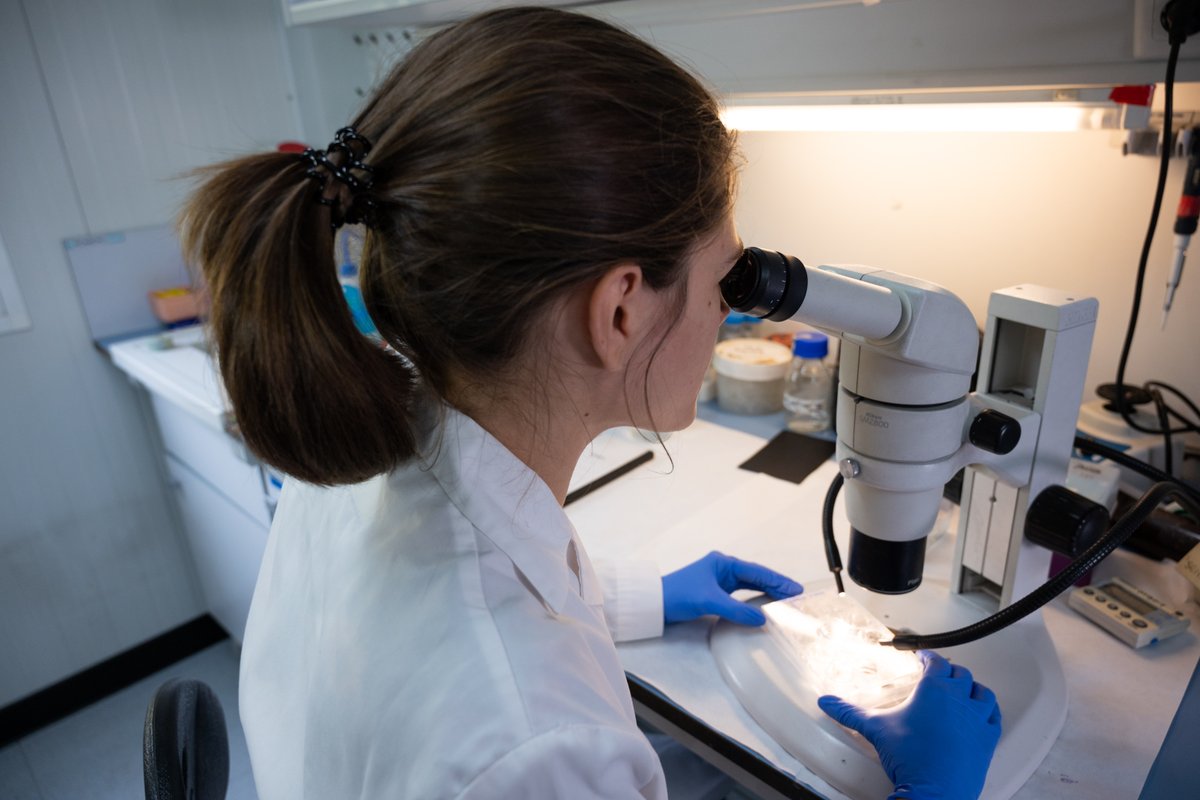 CSIC (@csic) on Twitter photo <a href="/CSICdivulga/">CSIC Divulga</a> <a href="/CienciaGob/">Ministerio de Ciencia, Innovación y Universidades</a> <a href="/i3m_upvcsic/">I3M</a> <a href="/CSICval/">Casa de la Ciència CSIC València</a> <a href="/IBBTEC/">IBBTEC</a> <a href="/NeuroAlc/">Instituto de Neurociencias UMH-CSIC</a> <a href="/CancerCSIC/">Conexión Cáncer CSIC</a> <a href="/CSICAndalExtrem/">CSIC Andalucía y Extremadura</a> 👩🔬 La #ConexiónCáncerCSIC agrupa a equipos multidisciplinares para frenar el cáncer antes de que se disemine
🔬 “Gracias a la inmunoterapia, el melanoma es uno de los cánceres cuyo pronóstico ha mejorado más”, Ángela Nieto, coordinadora de <a href="/CancerCSIC/">Conexión Cáncer CSIC</a>
➡️ tiny.cc/6mqk001 <a href="/CSICdivulga/">CSIC Divulga</a> <a href="/CienciaGob/">Ministerio de Ciencia, Innovación y Universidades</a> <a href="/i3m_upvcsic/">I3M</a> <a href="/CSICval/">Casa de la Ciència CSIC València</a> <a href="/IBBTEC/">IBBTEC</a> <a href="/NeuroAlc/">Instituto de Neurociencias UMH-CSIC</a> <a href="/CancerCSIC/">Conexión Cáncer CSIC</a> <a href="/CSICAndalExtrem/">CSIC Andalucía y Extremadura</a> 👩🔬 La #ConexiónCáncerCSIC agrupa a equipos multidisciplinares para frenar el cáncer antes de que se disemine
🔬 “Gracias a la inmunoterapia, el melanoma es uno de los cánceres cuyo pronóstico ha mejorado más”, Ángela Nieto, coordinadora de <a href="/CancerCSIC/">Conexión Cáncer CSIC</a>
➡️ tiny.cc/6mqk001
