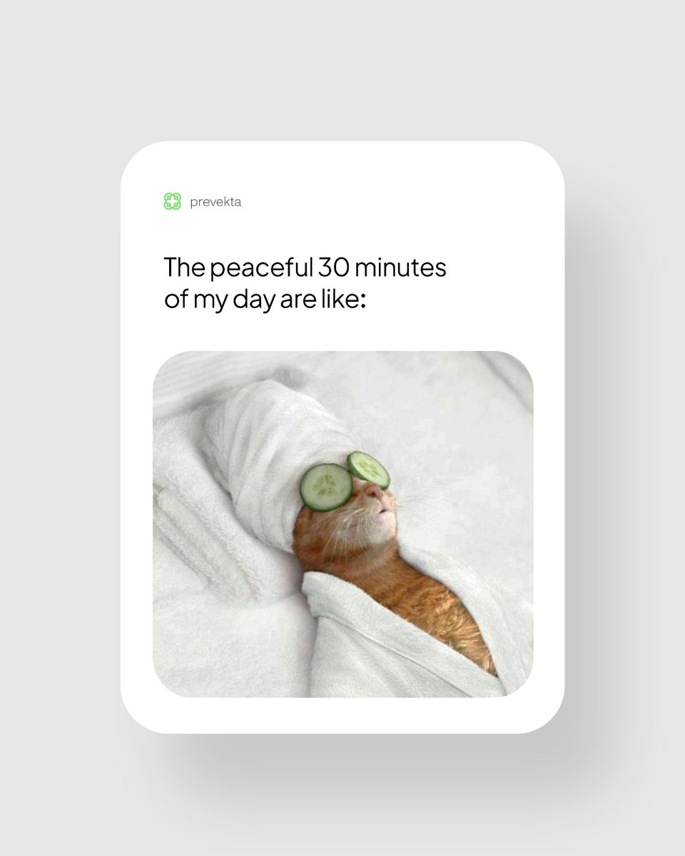 prevekta's tweet photo. 🌿 The peaceful 30 minutes of my day are like:
Just me, my thoughts, and a touch of Ayurveda bliss. ✨
Because even 30 minutes of calm can restore balance to your body, mind, and soul.

#PrevektaMoments #AyurvedaForLife #HolisticHealing https://t.co/HsDaNbcvSz