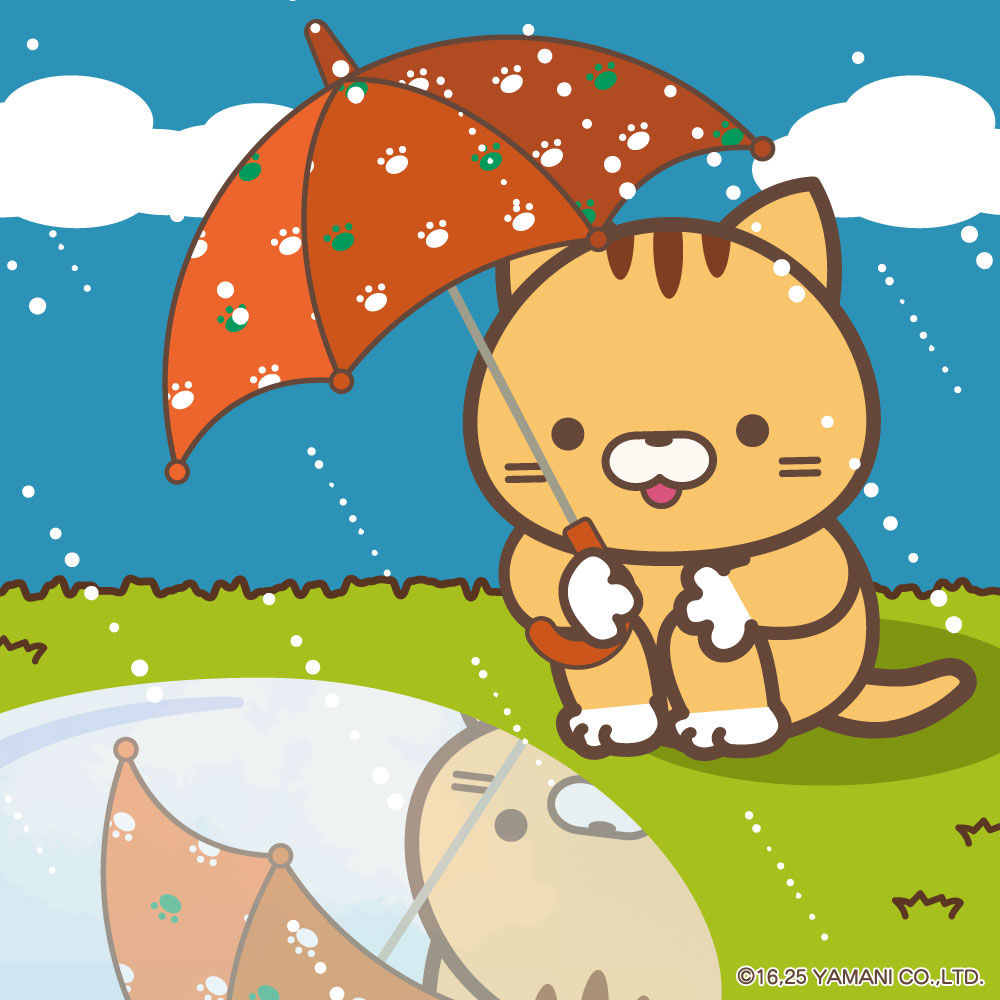 ムシムシしてて暑くなってきたこの頃。
もう梅雨入りしてる地域もあるらしいですね☔
トラマチくんはこんな雨の日もお出かけ中のご様子です💨💨
水溜まりが気になるみたい🐱🎶
#ミケムラさんといっしょ #梅雨入り