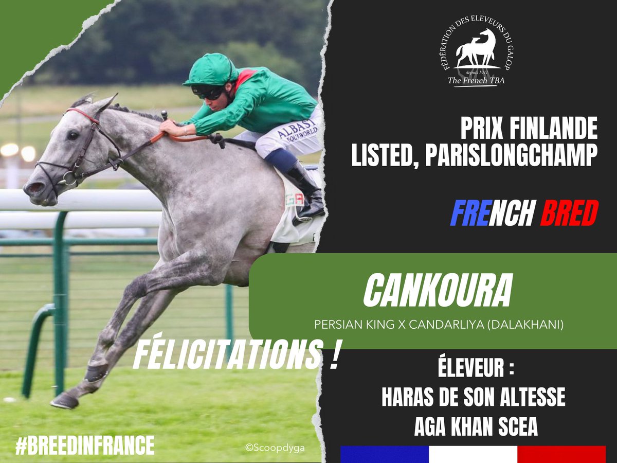 Eleveurs du galop (@fedeeleveurs) on Twitter photo CANKOURA, fille de #PersianKing étalon du <a href="/Haras_d_Etreham/">Haras d'Etreham</a> , remporte le Prix Finlande, Listed sur l'hippodrome de Parislongchamp (22/05).
Bravo à son éleveur : Haras de Son Altesse <a href="/AgaKhanStuds/">Aga Khan Studs</a> SCEA 🎉
#BreedInFrance #RaceAndCare #VivelElevageFrancais CANKOURA, fille de #PersianKing étalon du <a href="/Haras_d_Etreham/">Haras d'Etreham</a> , remporte le Prix Finlande, Listed sur l'hippodrome de Parislongchamp (22/05).
Bravo à son éleveur : Haras de Son Altesse <a href="/AgaKhanStuds/">Aga Khan Studs</a> SCEA 🎉
#BreedInFrance #RaceAndCare #VivelElevageFrancais