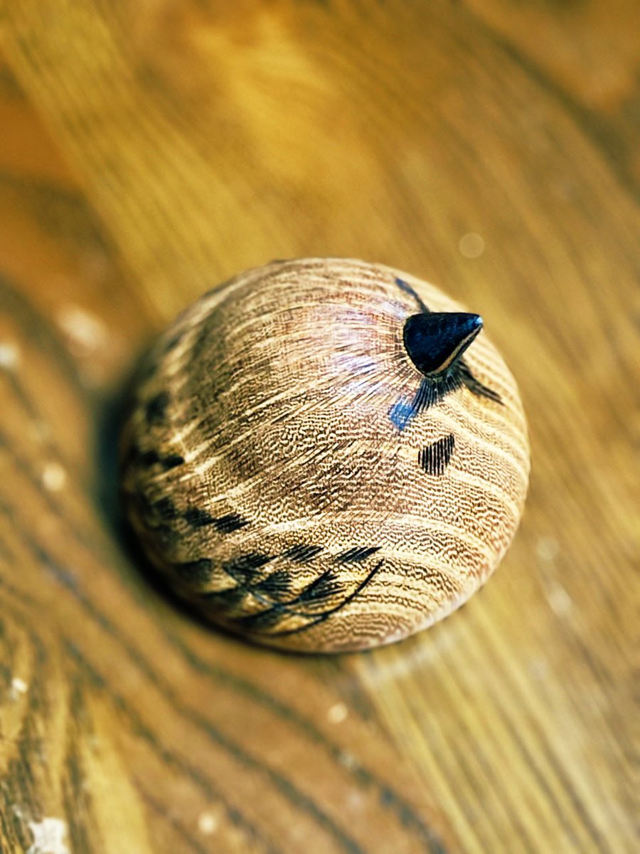 雀さん 629羽目

線焼き終了

まんまるまんじゅう🐥🥰