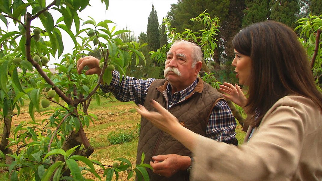 'Comando Actualidad' (<a href="/comandotve/">Comando Actualidad</a>) analiza el fenómeno del ecoturismo en 'España en flor'

📺 Sábado 24 de mayo, a las 11:30 horas en <a href="/la2_tve/">La 2</a> y <a href="/rtveplay/">RTVE Play</a> 

rtve.es/n/16593560