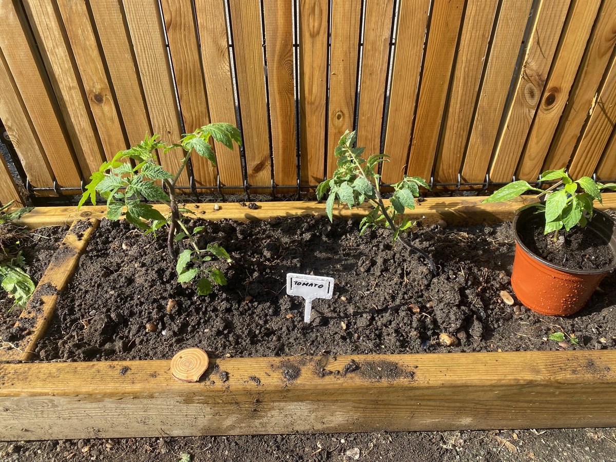 Mr Lamprey (@sportatclifton) on Twitter photo More #gardening as part of our science and personal development curriculum in Y5. From seed to bed. <a href="/CliftonPrim/">CliftonPrimary</a> <a href="/CliftonCoHead/">Dr Allen</a> <a href="/MissBi17/">Miss Bi</a> <a href="/MrsBhachu/">Mrs Bhachu</a> <a href="/The_RHS/">The RHS</a> <a href="/nationaltrust/">National Trust</a> <a href="/BhamCityCouncil/">Bham City Council</a> <a href="/_houseandgarden/">House & Garden Magazine</a> <a href="/PSHEassociation/">PSHE Association</a> More #gardening as part of our science and personal development curriculum in Y5. From seed to bed. <a href="/CliftonPrim/">CliftonPrimary</a> <a href="/CliftonCoHead/">Dr Allen</a> <a href="/MissBi17/">Miss Bi</a> <a href="/MrsBhachu/">Mrs Bhachu</a> <a href="/The_RHS/">The RHS</a> <a href="/nationaltrust/">National Trust</a> <a href="/BhamCityCouncil/">Bham City Council</a> <a href="/_houseandgarden/">House & Garden Magazine</a> <a href="/PSHEassociation/">PSHE Association</a>