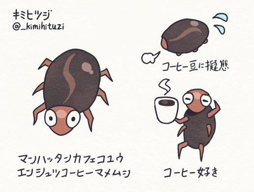 学名:マンハッタンカフェコユウエンシュツコーヒーマメムシ 
