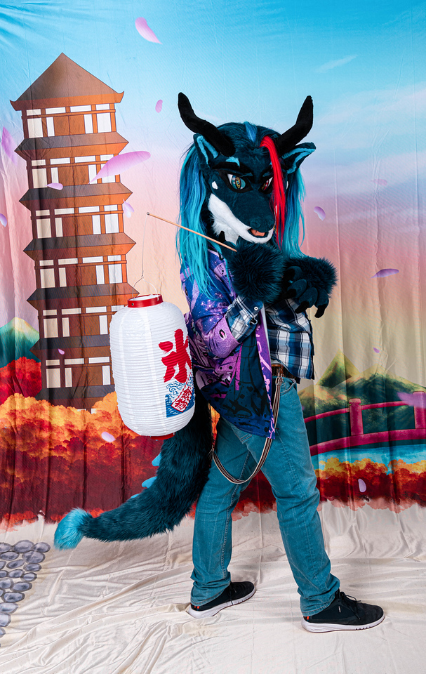 Dejar que ilumine el camino

Feliz #FursuitsFriday desde el photoshoot de la NFC❤️💙