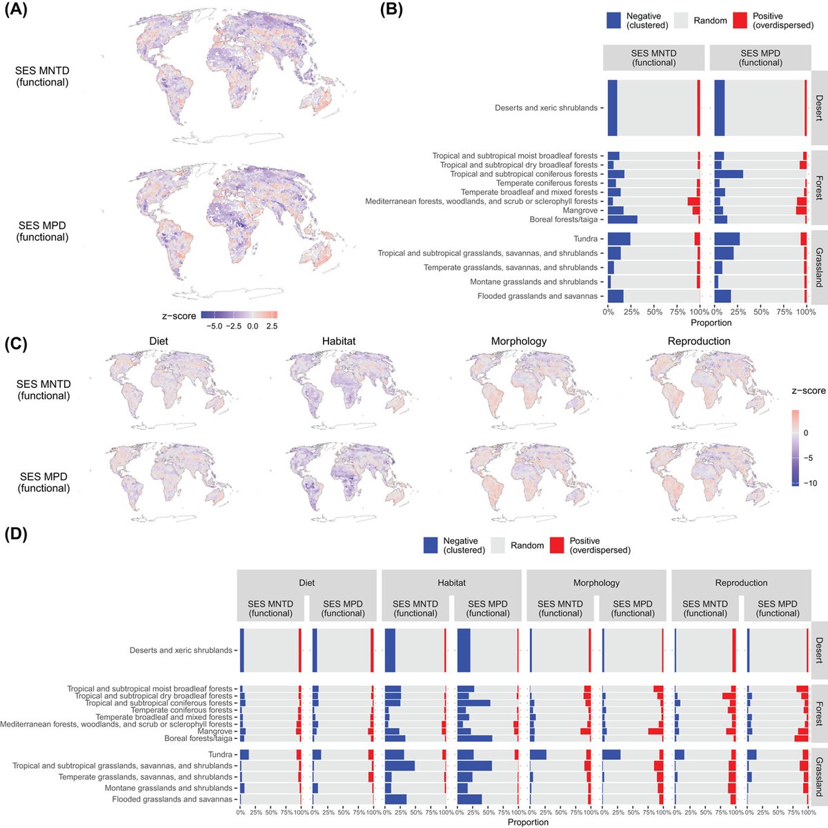 Ecography (@ecographyjourna) on Twitter photo Global phylogenetic and functional structure of rodent assemblages vist.ly/3n42ht4 #BigData #Rodents #Phylogeny ecography.bsky.social <a href="/NordicOikos/">Nordic Society Oikos</a> <a href="/WileyEcolEvol/">Wiley Ecology & Evolution</a> Global phylogenetic and functional structure of rodent assemblages vist.ly/3n42ht4 #BigData #Rodents #Phylogeny ecography.bsky.social <a href="/NordicOikos/">Nordic Society Oikos</a> <a href="/WileyEcolEvol/">Wiley Ecology & Evolution</a>