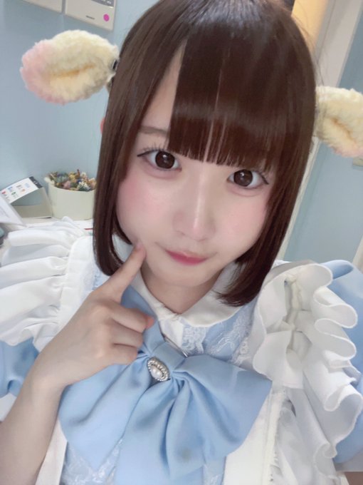 mellow sheepのツイート