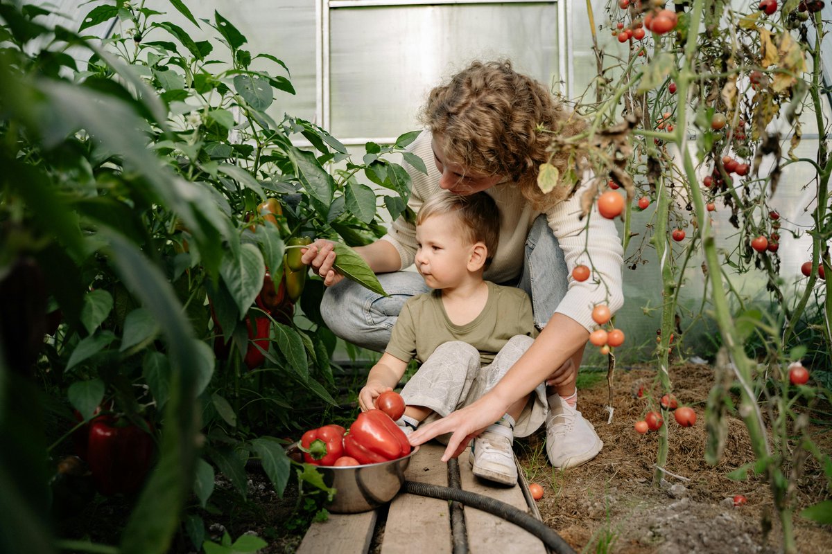 Q3 Services (@q3_services) on Twitter photo Saturday is the start of #ChildrensGardeningWeek. It's a great fun initiative to get kids connecting with #nature and the outdoors, learning where food comes from, understanding #biodiversity and #sustainability and reducing screen time! More info: childrensgardeningweek.co.uk Saturday is the start of #ChildrensGardeningWeek. It's a great fun initiative to get kids connecting with #nature and the outdoors, learning where food comes from, understanding #biodiversity and #sustainability and reducing screen time! More info: childrensgardeningweek.co.uk