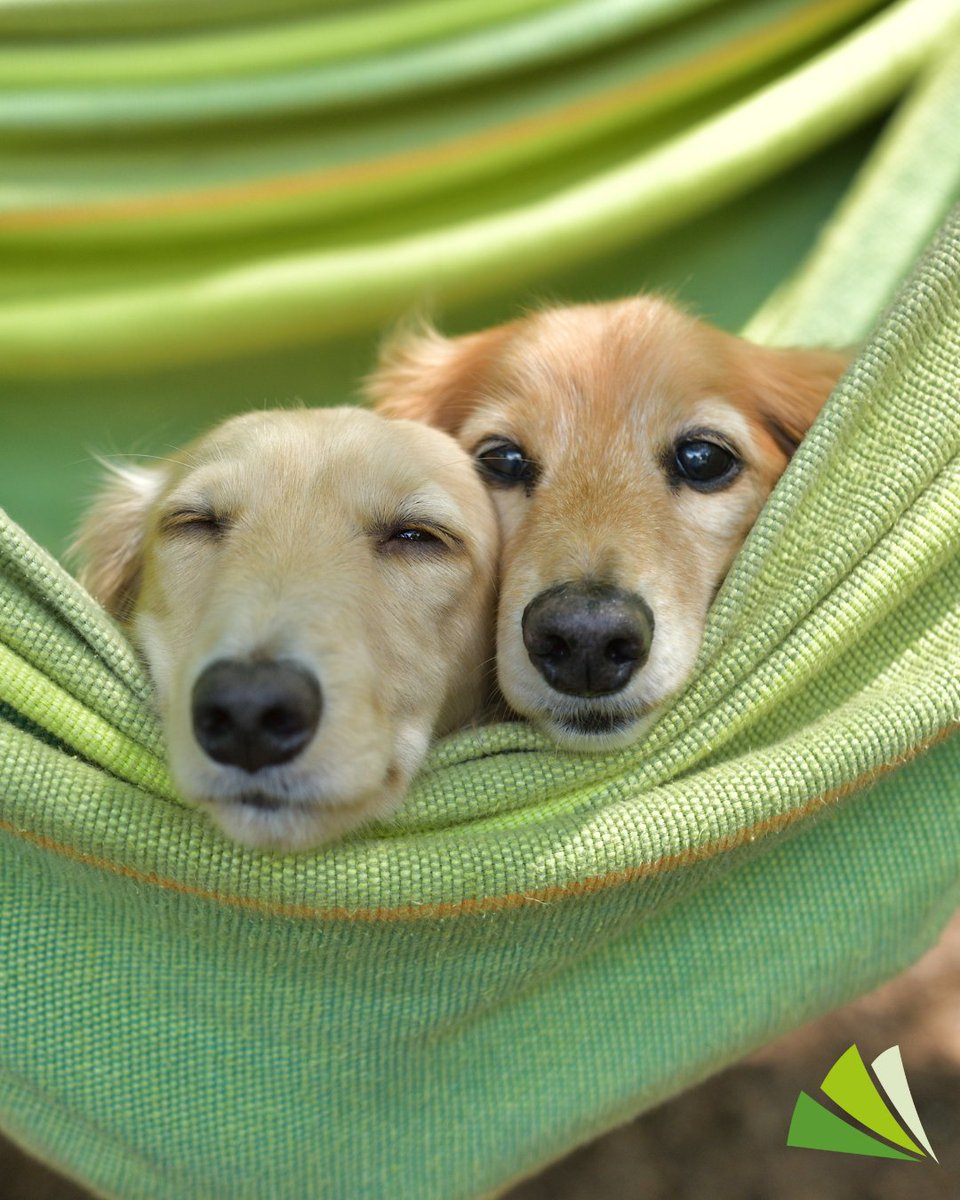 We're wishing you a very happy &amp; relaxing Bank holiday weekend from the whole team here at Blackdown Financial. 💚