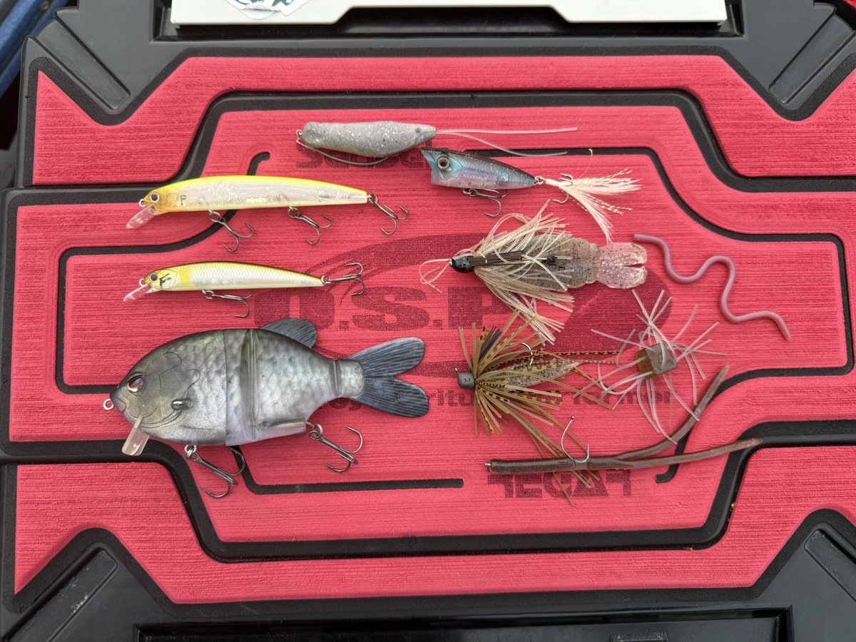 TNamikiOfficial's tweet photo. 昨日一昨日は千葉県の三島湖へ

釣果は20匹ほどだったが、写真のようなルアーたちで25〜50cmクラスまでのバスが応えてくれた

特筆すべきはドゥルガや阿修羅のフローティングミノーが圧倒的に魚を引き寄せたこと。

これはちょうど水温20℃〜アーリーサ��ーにありがちなパターンでもあるが、特にドゥルガFのゴーストカラー系であれば見切られることは少なく、多くのバスが面白いようにバイトしてきた。

もしこのルアーだけで一日中湖を回れば30匹〜40匹のアベレージから50cmクラスまで反応させることは可能だったろう。

スピナーベイトで流しているアングラーが0〜数匹のような状況でもあったが、同じハードルアーでもこれだけの��が出るのがバスフィッシング。

詳細はYouTubeが公開されたらぜひチェックしてみてほしい。

#三島湖
#ともえボート 
#世界のtナミキ釣りベース 
#pr