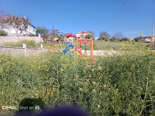 Esentepe Mahallesi Parkı otlar içinde, bakımsız ve kullanılamaz halde.
Muhtarımız durumu biliyor, çözüm sözü verildi ama somut adım bekliyoruz.
Aksaray Ortaköy bu sesi duysun!
#Aksaray #Ortaköy #Esentepe #Parkımızıİstiyoruz