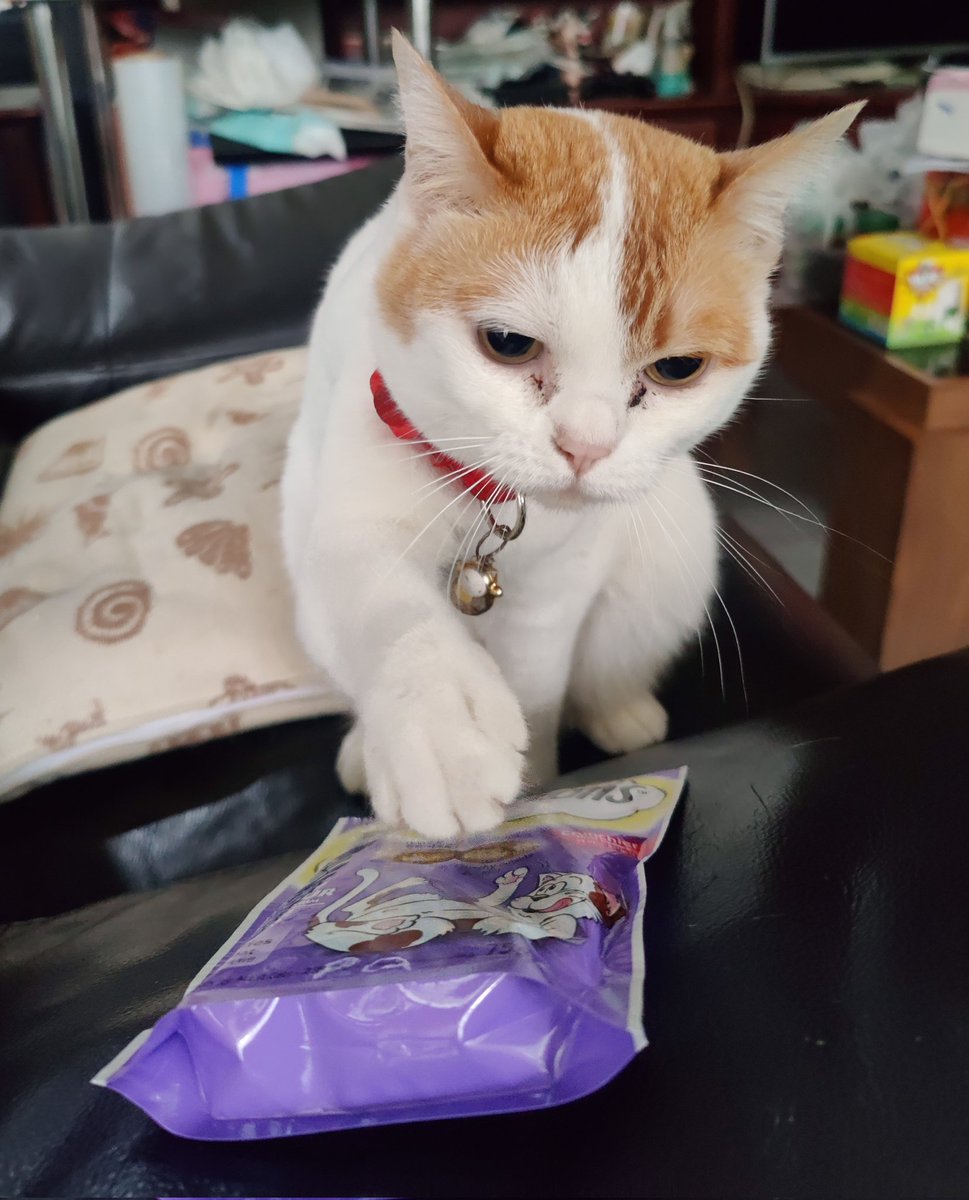 The cat demands you to buy the goods so she can buy more snacks