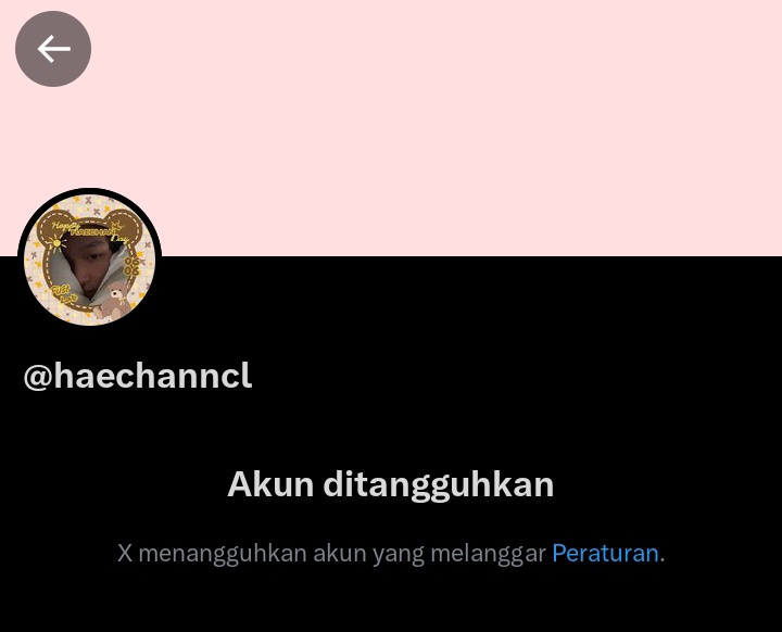 ✉️✿𝑒ciL : acc backup :3 tweet media