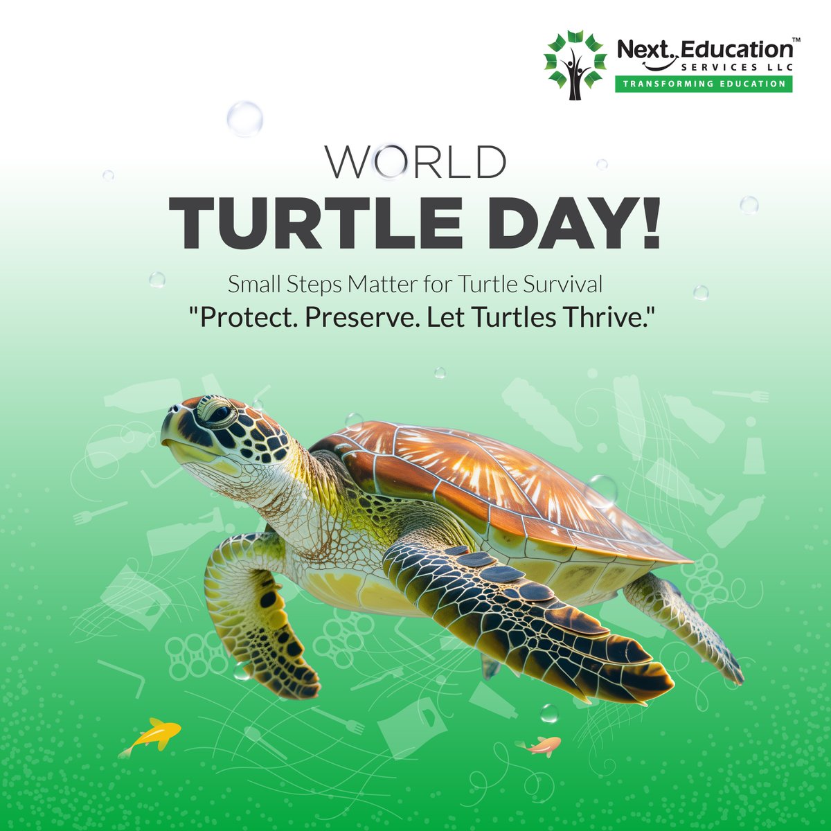 NextEducationAE's tweet image. Turtles have lived on Earth for over 200 million years, helping ecosystems thrive. This #WorldTurtleDay, let’s protect their habitats and raise awareness about their endangered status.
Every small action counts. 🐢 #SaveTurtles #ProtectWildlife #NextEducation