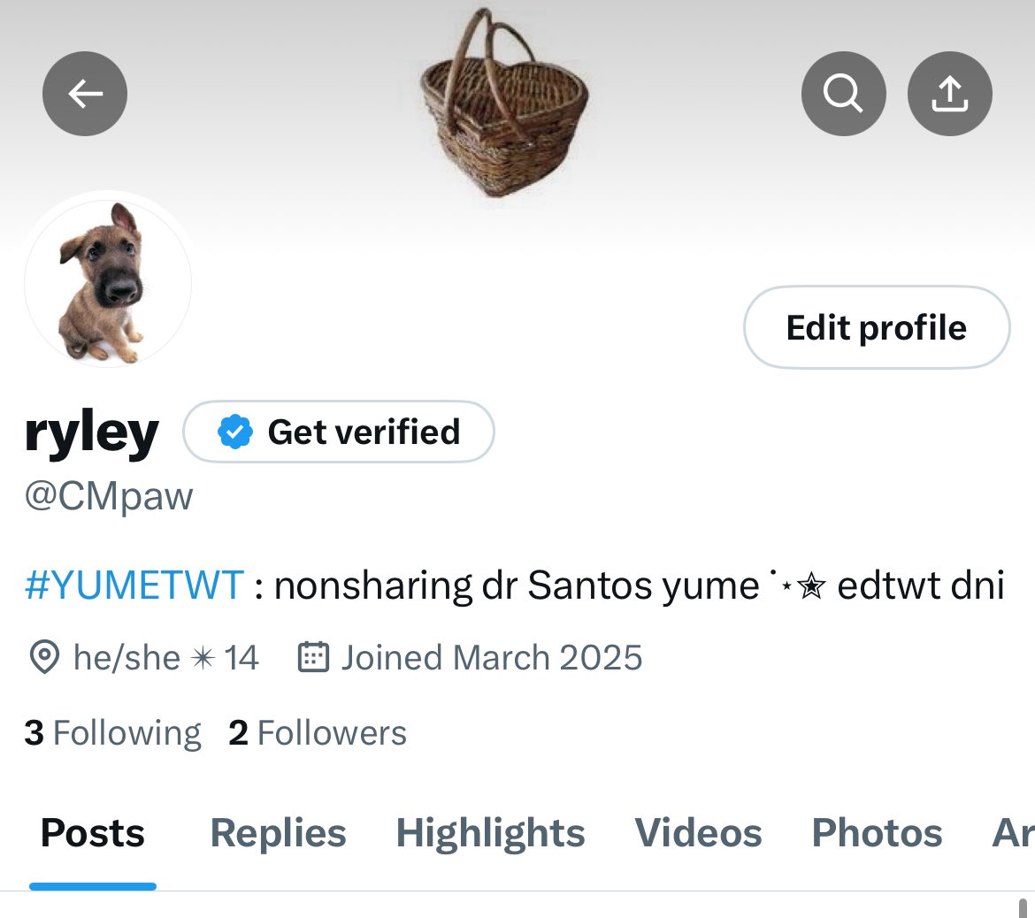 rye 🍡 tweet media