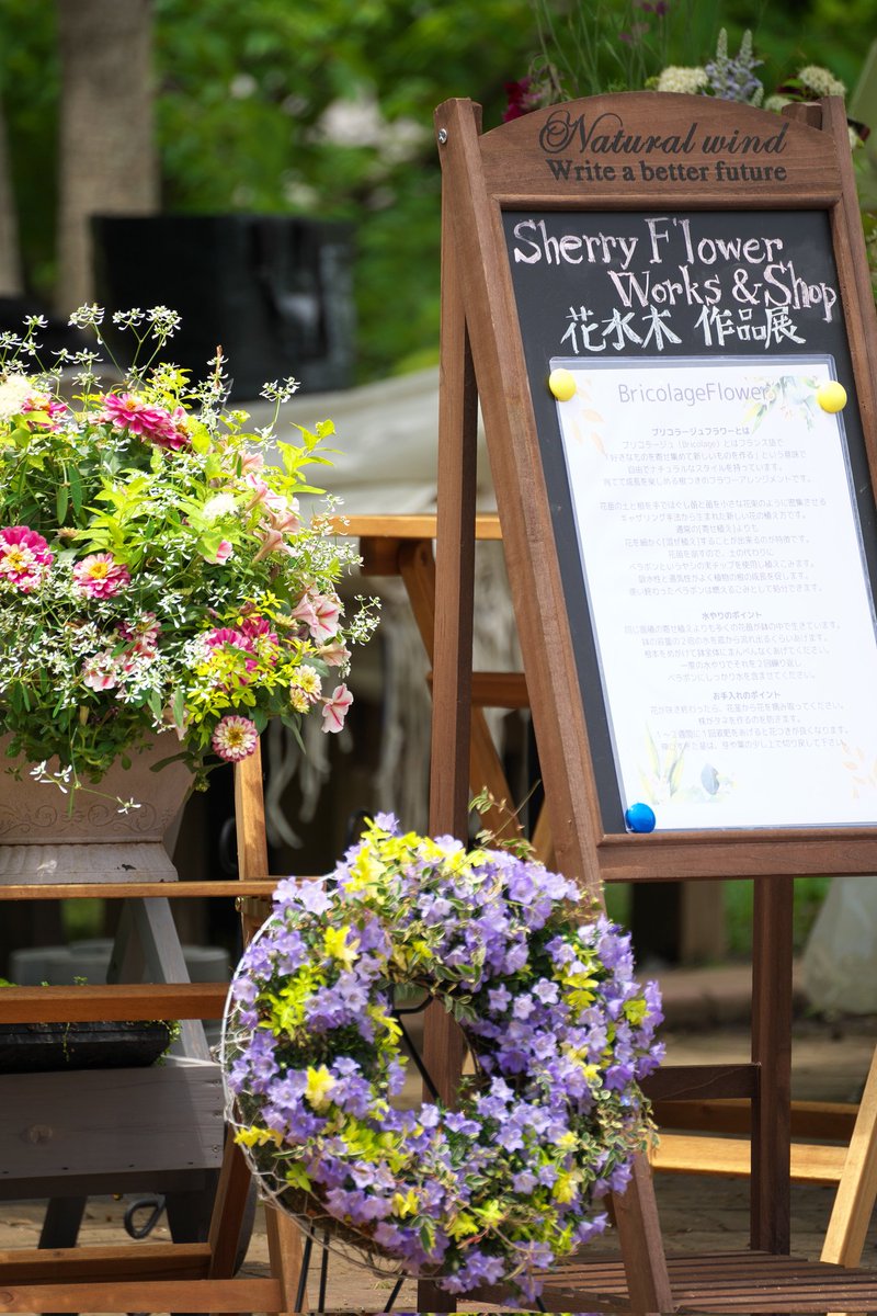 papawolf881's tweet image. 花粉期間中は撮影をサボりすぎたおかげで酷い結果だったのでエクストリームフォトウォーク
あけぼの山農業公園で各国の花の展示をやってました
現像控えめでもすごいの一言
#a7iii