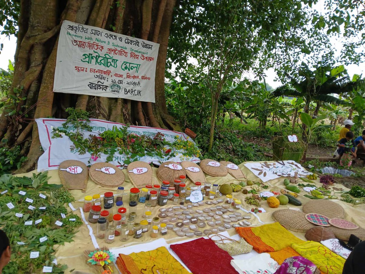 APEX_Platform's tweet photo. FROM THE PARTNERS | Barcik sharing these photos of their rural biodiversity fair and learning exchange in Manikganj, Bangladesh. https://t.co/RCuvTUDvlU