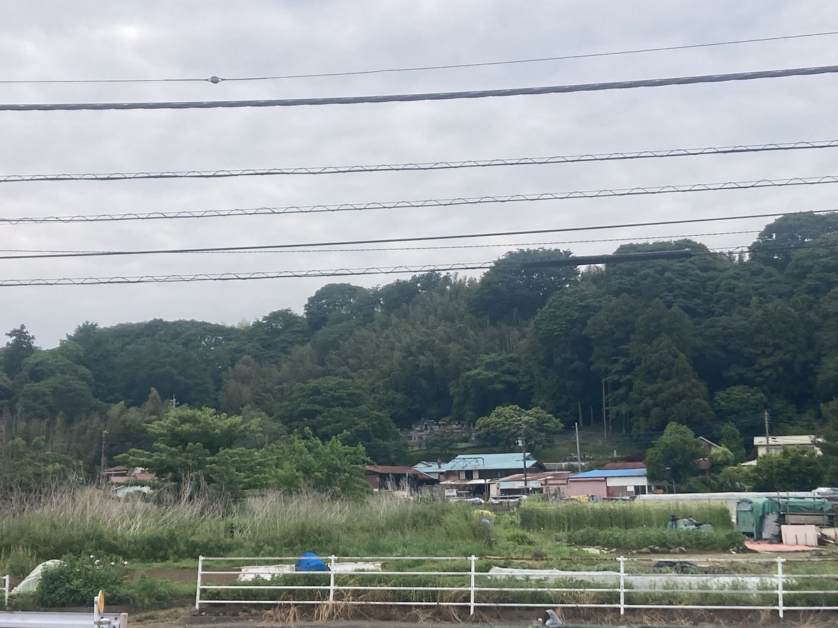 Tom @英語x生涯学習 tweet media