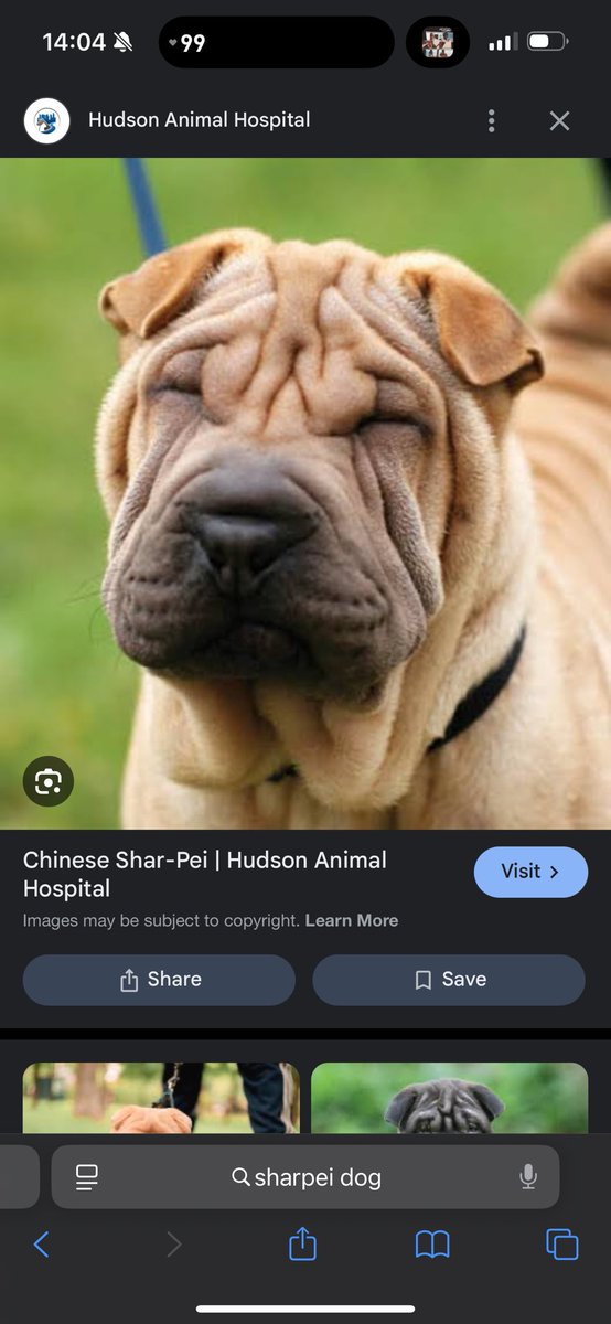 Dirty | SUPERNOVA tweet media