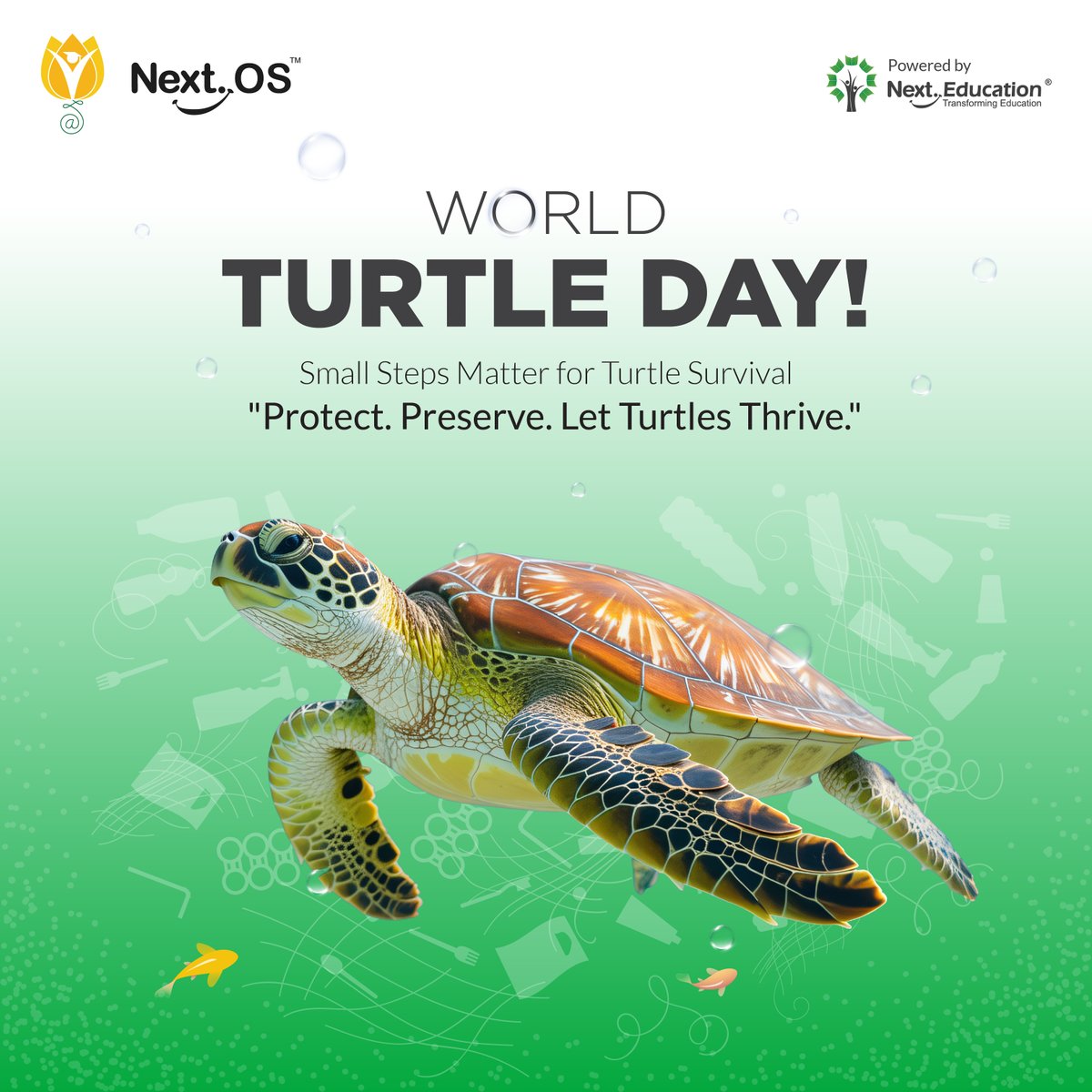 NextOS_'s tweet image. Turtles have lived on Earth for over 200 million years, helping ecosystems thrive. This #WorldTurtleDay, let’s protect their habitats and raise awareness about their endangered status. Every small action counts. 🐢 #SaveTurtles #ProtectWildlife #NextOS