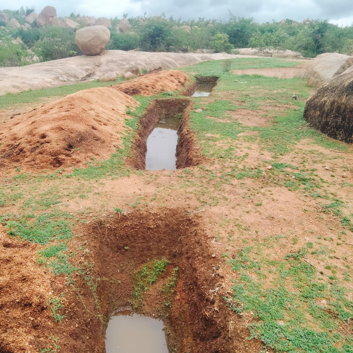 ವನಸಿರಿ ವೃದ್ಧಿಗೆ ನರೇಗಾ ಬಲ

ಕೊಪ್ಪಳ ಜಿಲ್ಲೆ ಯಲಮಗೇರಿ ಗ್ರಾಮದ ಹಾಲರ್ತಿ ಗುಡ್ಡದಲ್ಲಿ ನರೇಗಾ ಯೋಜನೆಯಡಿ 300 ಗುಂಡಿಗಳನ್ನು ನಿರ್ಮಿಸಲಾಗಿದೆ. ಇತ್ತೀಚೆಗೆ ಸುರಿದ ಮಳೆಯಿಂದ ಗುಂಡಿಗಳಲ್ಲಿ ಮಳೆ ನೀರು ಸಂಗ್ರಹಣೆಯಾಗಿದ್ದು,  ಪ್ರಾಣಿ - ಪಕ್ಷಿಗಳಿಗೆ ಕುಡಿಯಲು ನೀರು ಲಭ್ಯವಾಗುವುದರ ಜೊತೆಗೆ ಮಣ್ಣು &amp; ನೀರಿನ ಸಂರಕ್ಷಣೆಯಾಗಿದೆ.

#MGNREGA