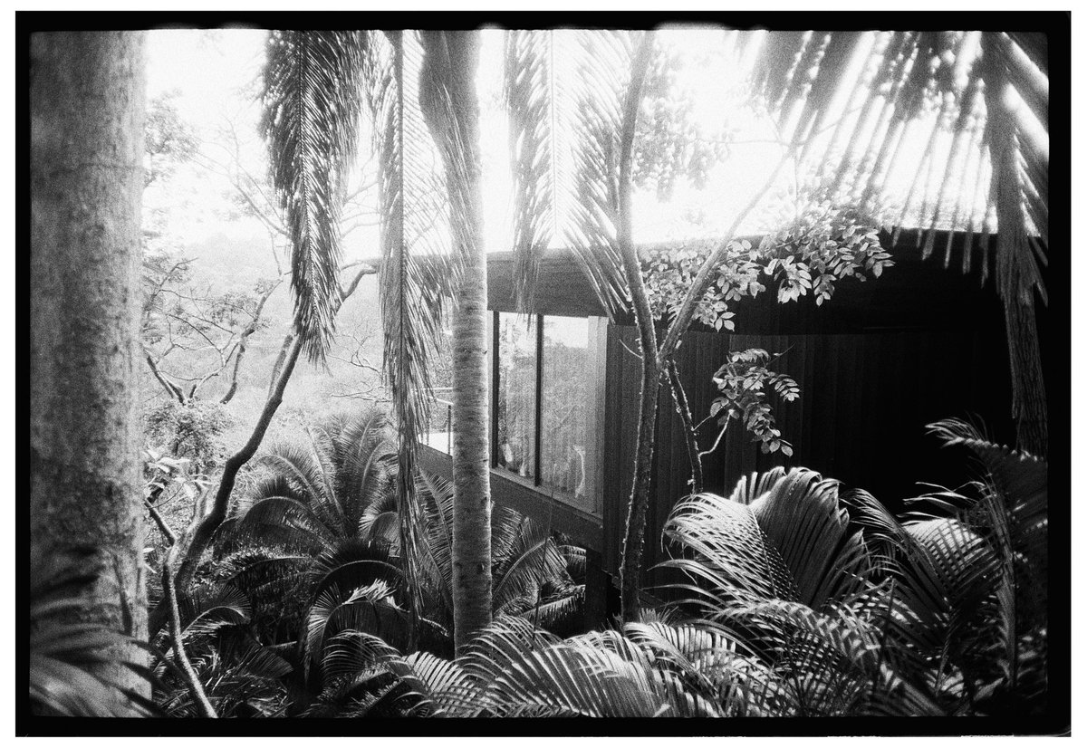 Gm🌳
-
The center that holds is not a place you find but a place that finds you. Every expansion is born of contraction, every reaching outward with a gathering inward. One may seem to cause the other but they are in fact polar expressions, inexorably bound.

We cannot pour from