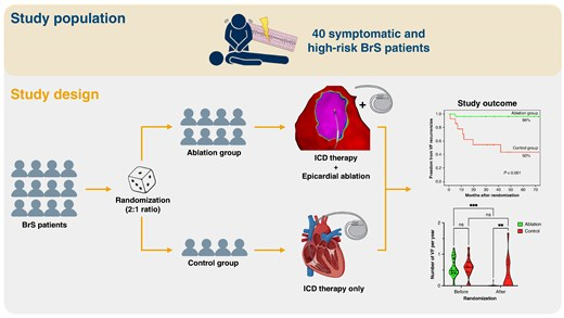 Europace Editor-in-Chief (@europaceeic) on Twitter photo #Europace #Epepps
Which are the results of Epicardial ablation in high-risk Brugada syndrome❓
See the results from a randomized clinical trial
🔗➡️doi.org/10.1093/europa…
<a href="/GiulioConte9/">Giulio Conte</a> <a href="/Dominik_Linz/">Dominik Linz</a> <a href="/FraSantoroMD/">Francesco Santoro, MD, PhD</a> <a href="/marcovitoloMD/">Marco Vitolo Ⓜ️</a> <a href="/DavideMei93/">Davide Mei</a> <a href="/AndyZhangMD/">Xiaodong Zhang (Andy), MD, PhD, FHRS, FACC</a> <a href="/LuigiDiBiaseMD/">Luigi Di Biase</a> #Europace #Epepps
Which are the results of Epicardial ablation in high-risk Brugada syndrome❓
See the results from a randomized clinical trial
🔗➡️doi.org/10.1093/europa…
<a href="/GiulioConte9/">Giulio Conte</a> <a href="/Dominik_Linz/">Dominik Linz</a> <a href="/FraSantoroMD/">Francesco Santoro, MD, PhD</a> <a href="/marcovitoloMD/">Marco Vitolo Ⓜ️</a> <a href="/DavideMei93/">Davide Mei</a> <a href="/AndyZhangMD/">Xiaodong Zhang (Andy), MD, PhD, FHRS, FACC</a> <a href="/LuigiDiBiaseMD/">Luigi Di Biase</a>