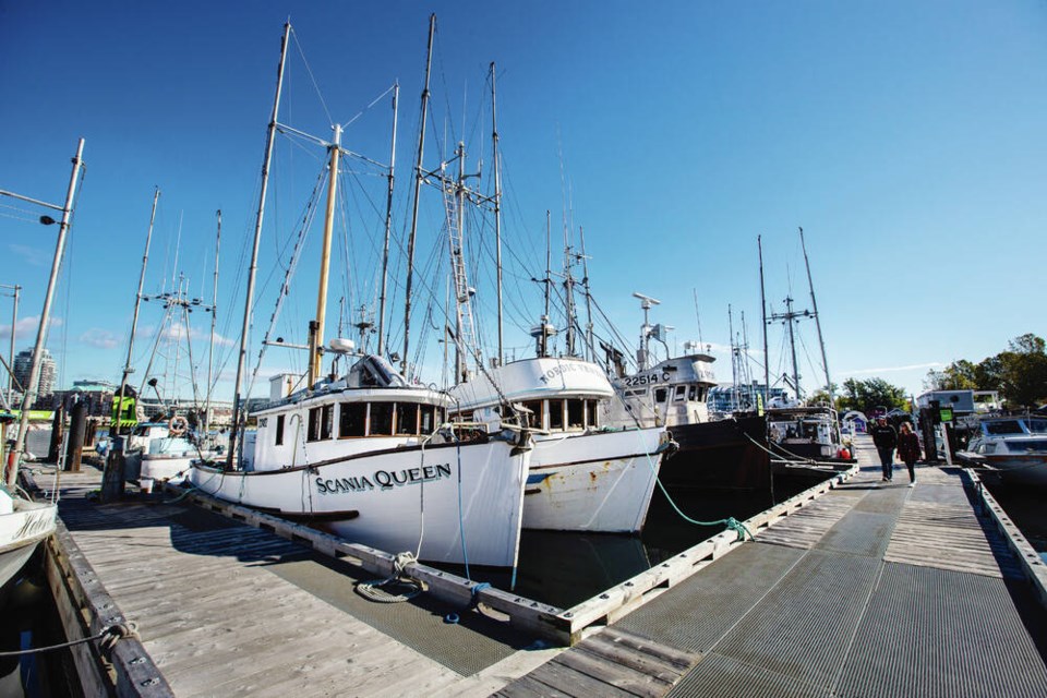 ICSF (@icsf1) on Twitter photo Canadian minister urged to restrict fishing licences in B.C. to active fishers
coastreporter.net/resources-agri… via <a href="/coast_reporter/">Coast Reporter</a> Canadian minister urged to restrict fishing licences in B.C. to active fishers
coastreporter.net/resources-agri… via <a href="/coast_reporter/">Coast Reporter</a>