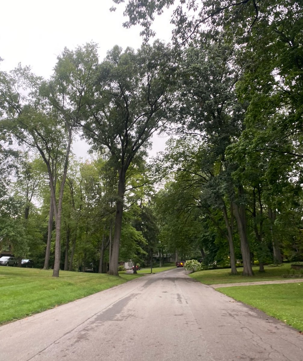 PinkTaxiRunner's tweet image. I kept fit in Wooster Ohio, where I stayed 10 days or so in summer end: I did 5 days of CrossFit in a row and I also ran hills, so many hills ! #summer2024