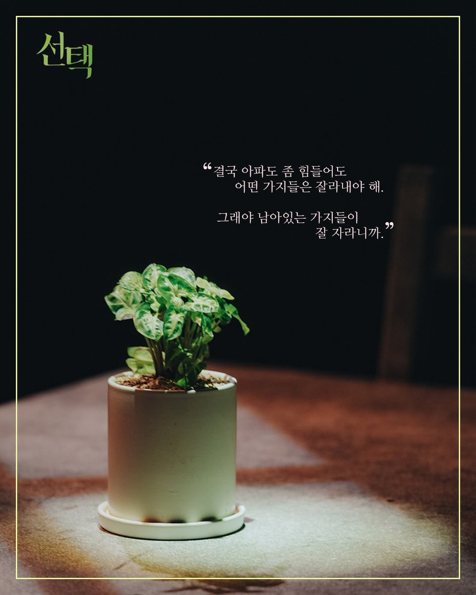 두 번째 공연을 기다리며! 
연극 <선택> 속 대사를 살펴볼까요 (feat.🪴) 

예매하기
👉예스24 티켓 _ shorturl.at/V3fzE
👉네이버 예약 _ shorturl.at/b2AOY

📅공연 기간: 2025년 5월 22일~6월 1일 
📍SH아트홀 

#창작집단LAS #연극선택