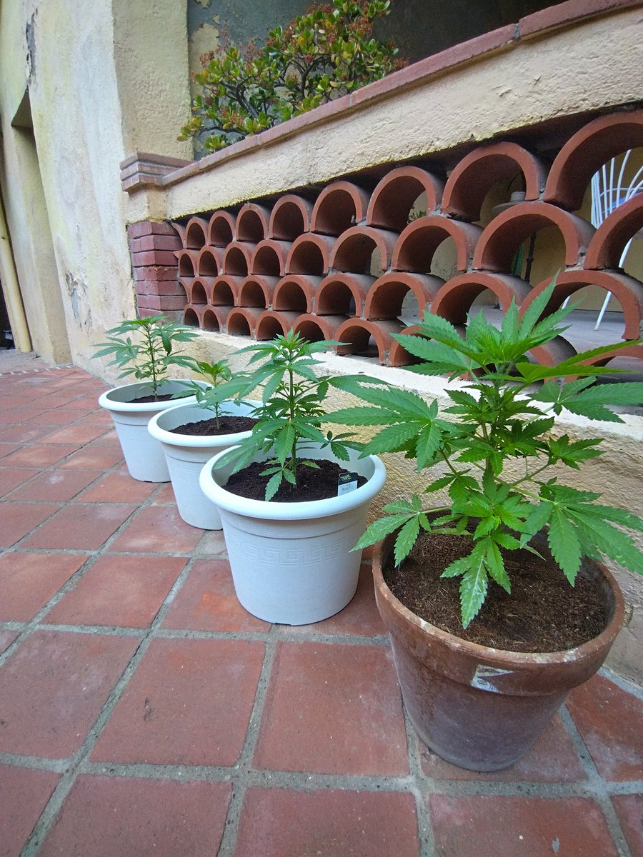 They are growing fast 🌱🤩