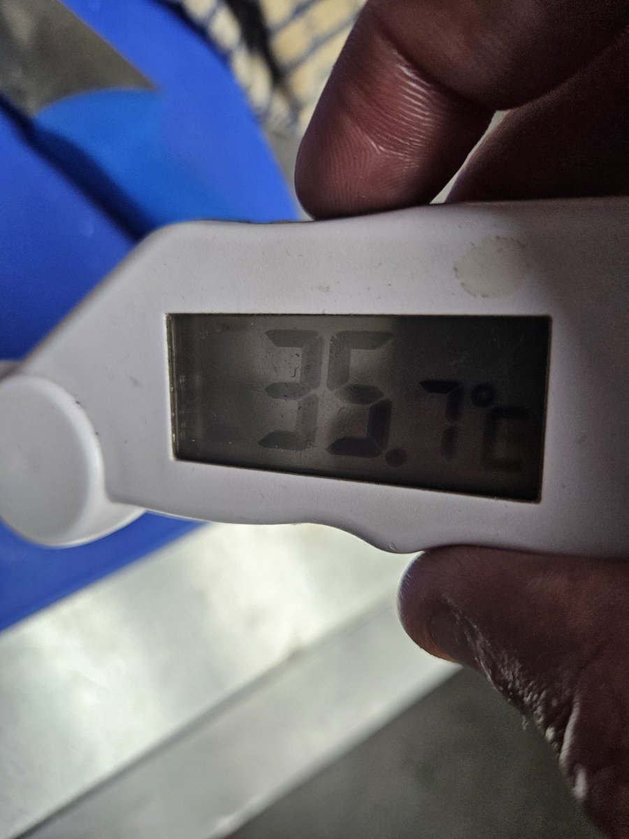 Got a little toasty in the kitchen yesterday.. hope its a little cooler today 😎