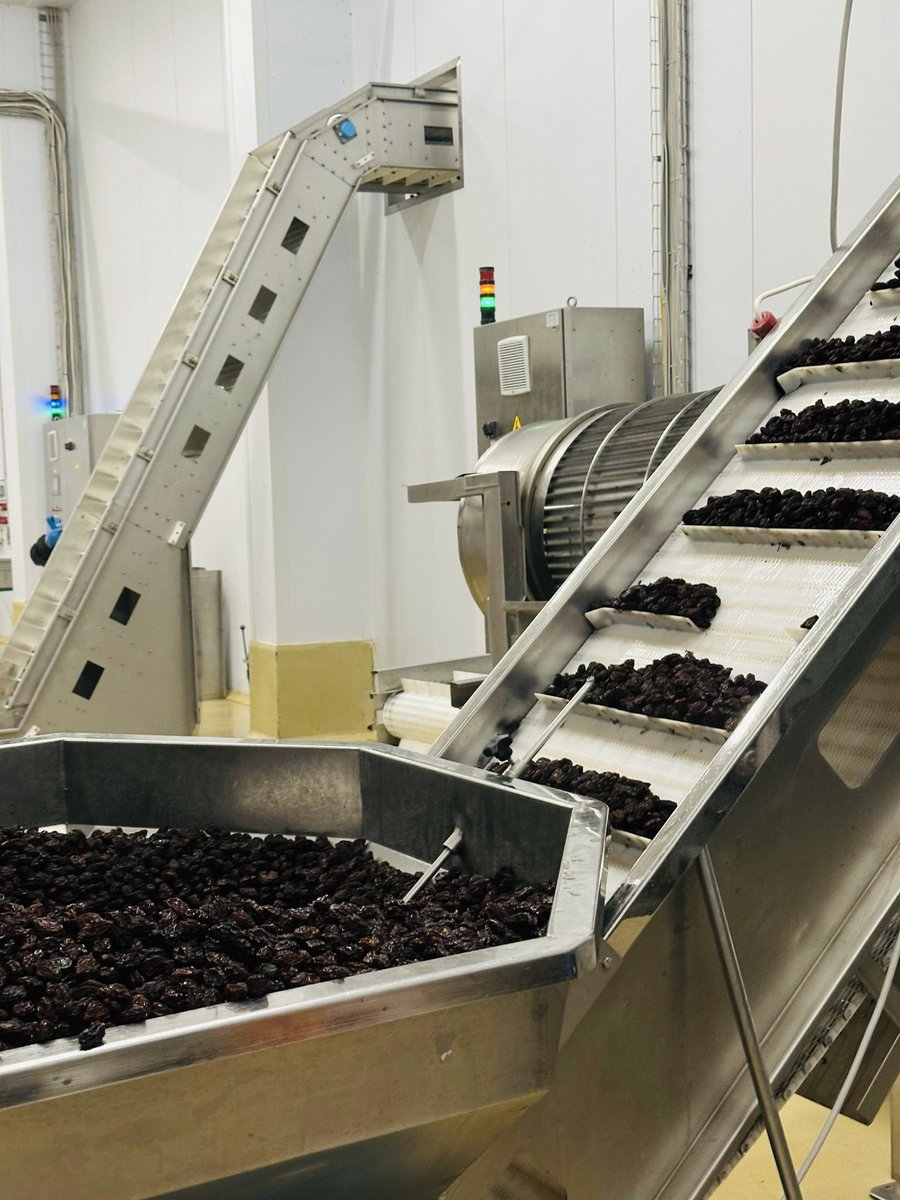 🍒Visita all’azienda #Santorelli Group aeccellenza italiana con cuore produttivo a #Plovdiv, #Bulgaria 🇧🇬 specializzata nella lavorazione di ciliegie sotto spirito e prugne essiccate | <a href="/GIConfindustria/">GI Confindustria</a>