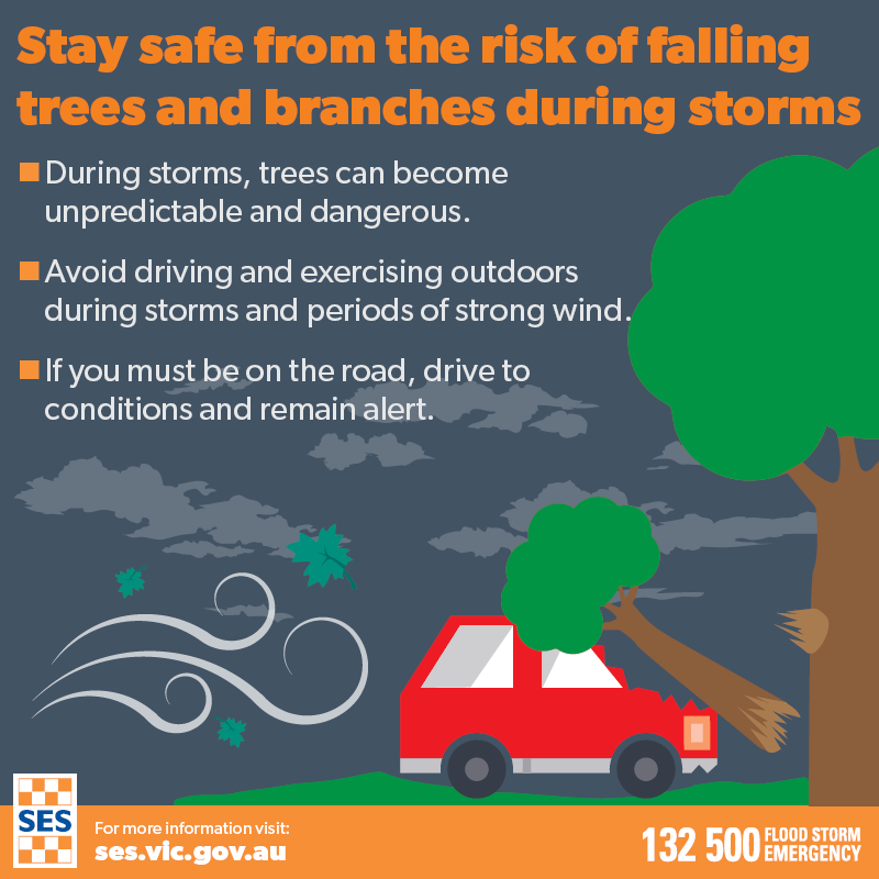VICSES News tweet media