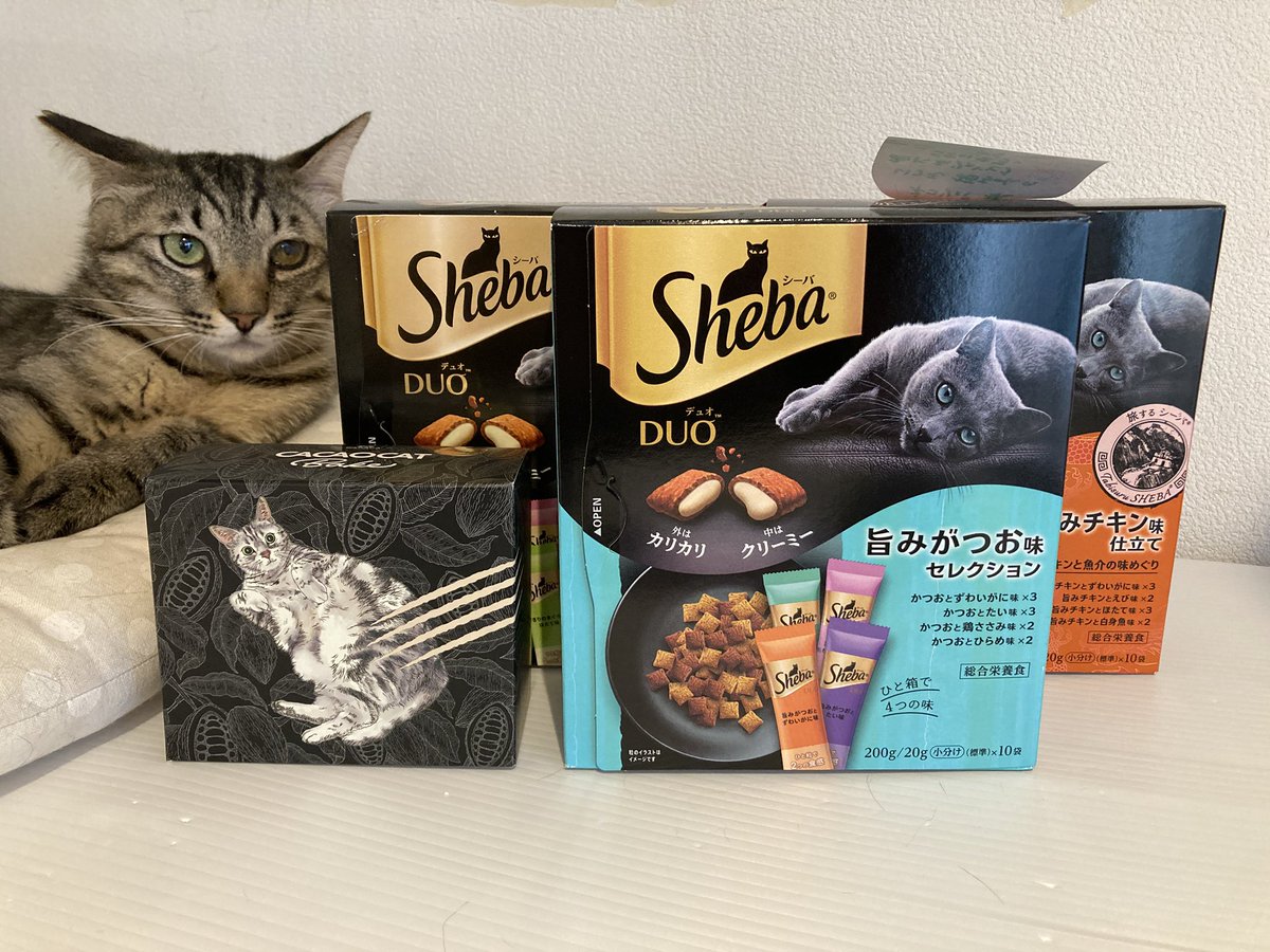 すごいneco-riねこり 口腔ケア4箱 かつお＆かつお節味 ねこり neco-ri
