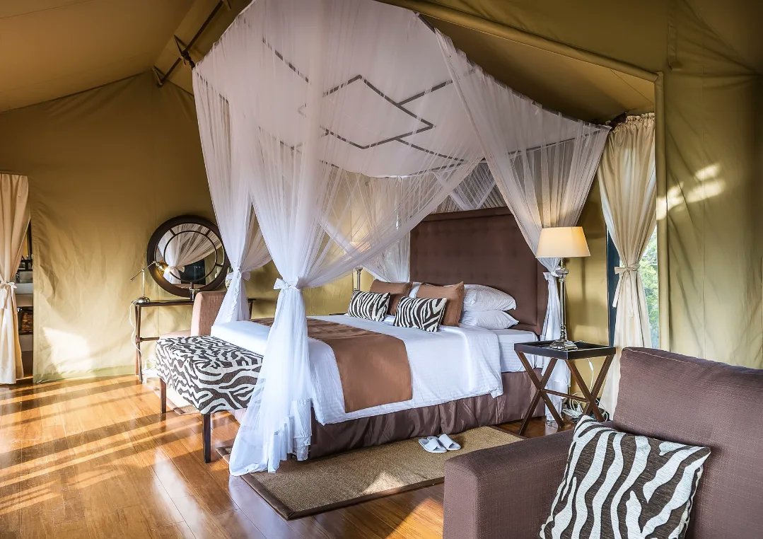 BonfireSafaris's tweet photo. Wake up to breathtaking views, end your day by the bonfire under the stars😎
Jambo Mutara Camp is where luxury meets the wild.
☎️Call/WhatsApp 0711 222 444 to book with us.
#bonfireadventures
#Campvibes
#bushbreakfast
#itravelwithbonfire https://t.co/BfkOqORaLu