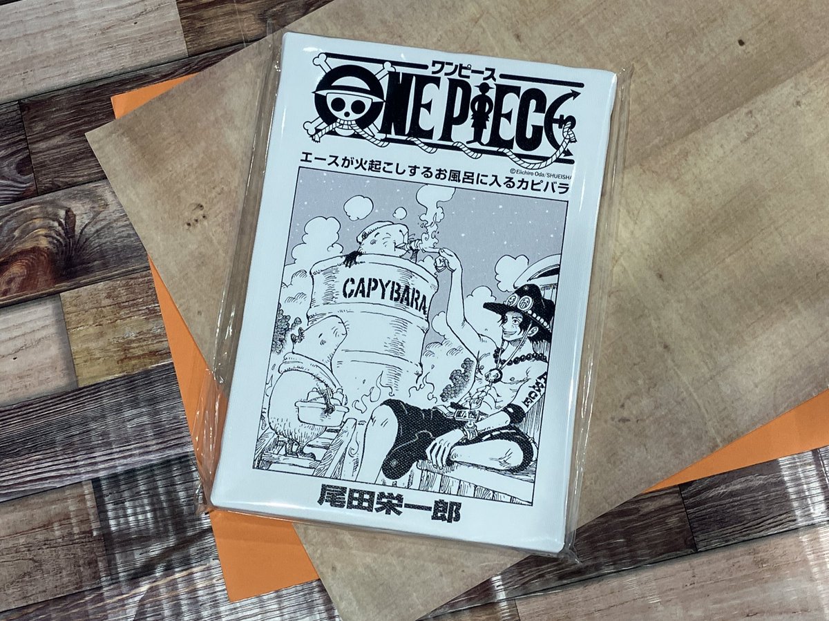 再入荷】原画商品 『ONE PIECE』扉絵アートボード エース（107巻・1087