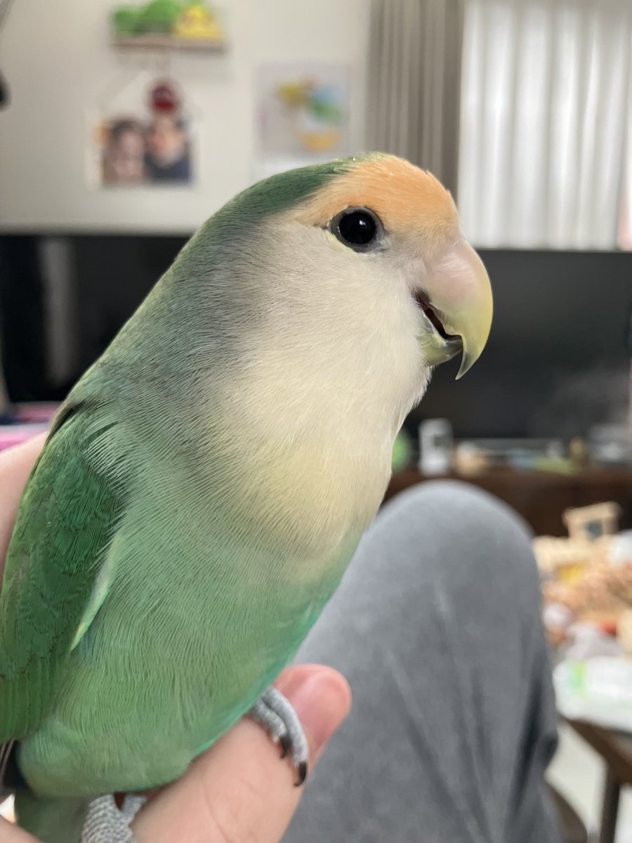 認定NPO法人TSUBASA -新施設クラファン達成しました！- tweet media