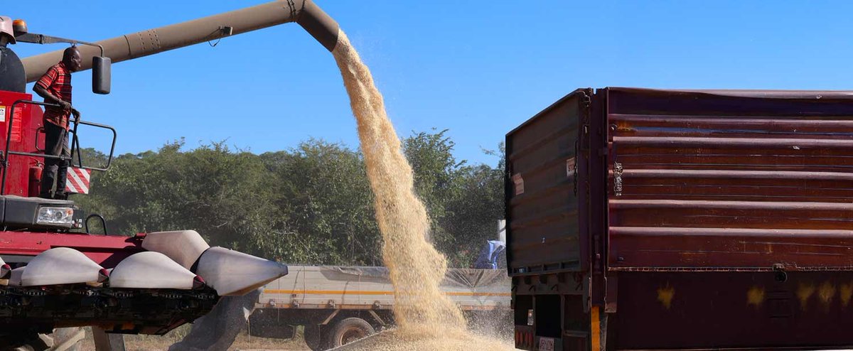 The African Development Bank Group has approved a $10,12 million grant to boost sustainable agricultural production and strengthen rural resilience in drought-prone regions in Zimbabwe. 
Read more on: climatebrief.co.zw/2025/05/22/afd…