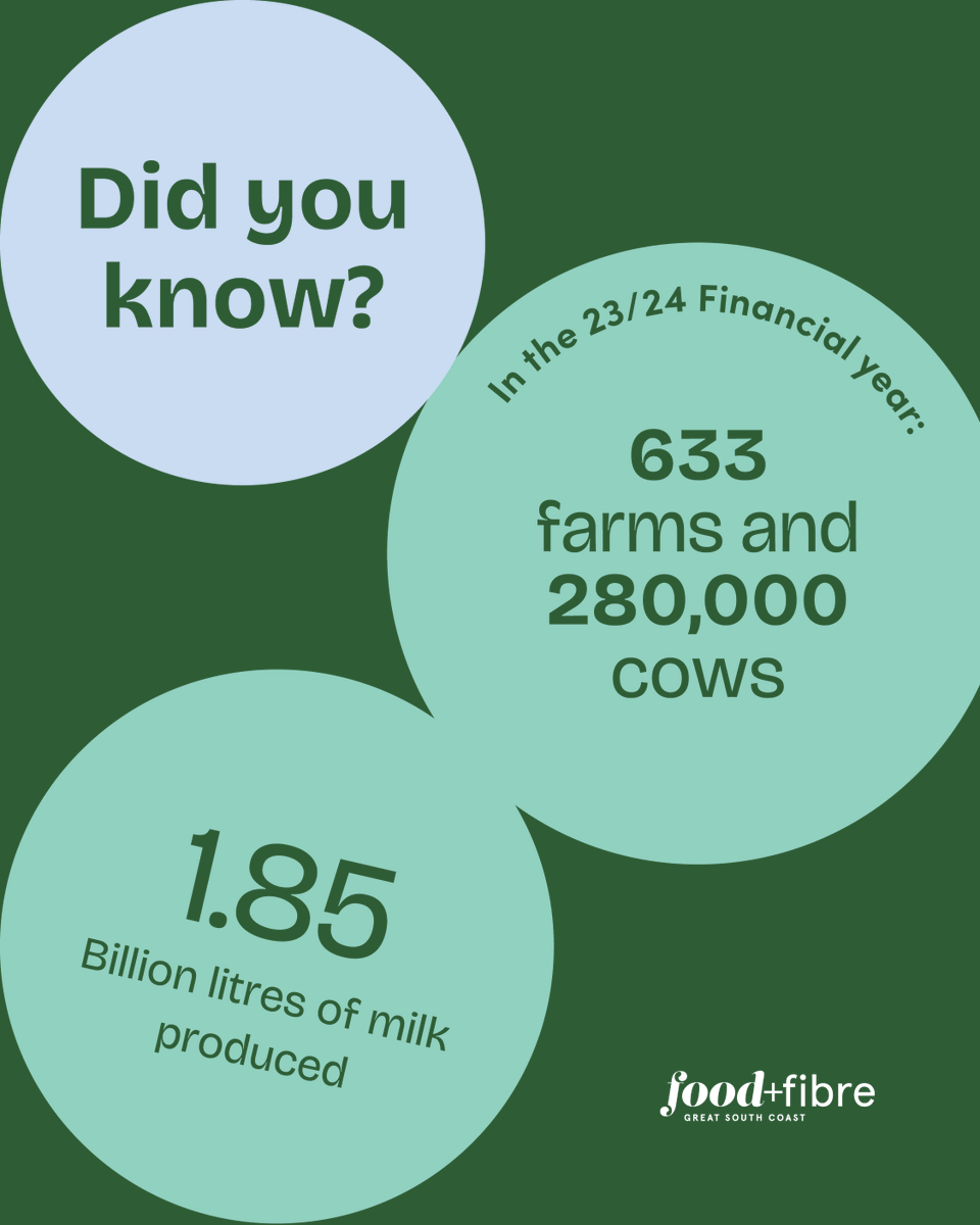 🐄 Western Vic dairy by the numbers: 633 farms. 280,000 cows. 1.85 billion litres of milk. Udderly impressive.

Learn More - foodfibregsc.com.au/dairy