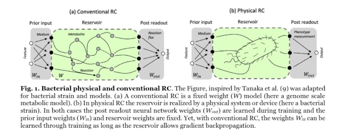 Olivier Borkowski (@o_borkowski) on Twitter photo Cellular computing without bioengineering by <a href="/jeanloupfaulon/">Jean Loup Faulon</a> lab.
doi.org/10.1101/2024.0… Cellular computing without bioengineering by <a href="/jeanloupfaulon/">Jean Loup Faulon</a> lab.
doi.org/10.1101/2024.0…