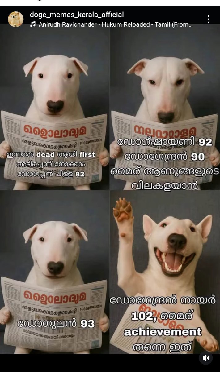 😂😂