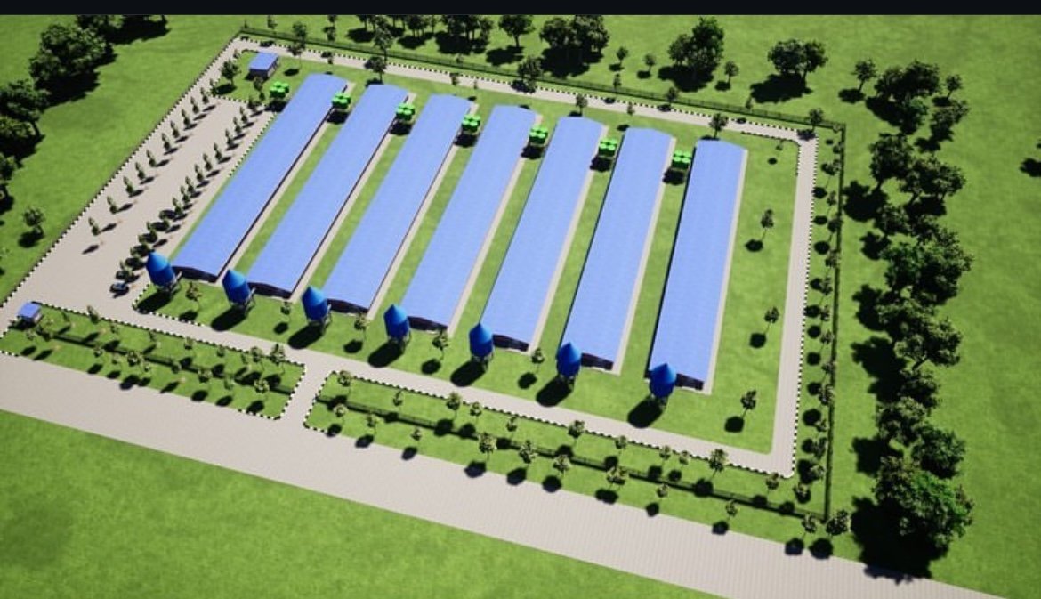 diharagirimana's tweet photo. Like and repost if you’re interested in amazing large-scale poultry farm design for 200,000 chickens
#PoultryFarming https://t.co/6qUxxFeNpd